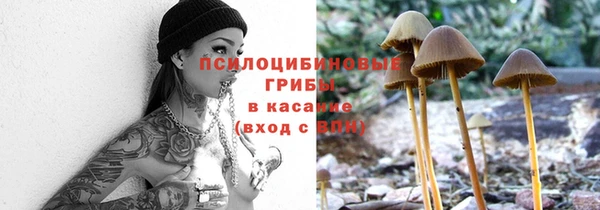 тгк Абинск