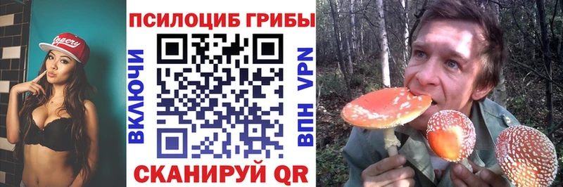 Галлюциногенные грибы ЛСД  где найти наркотики  Фокино 