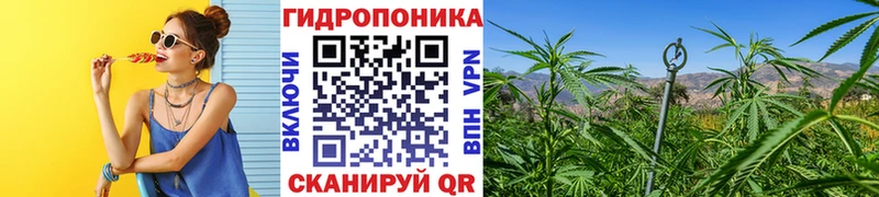Бошки марихуана LSD WEED это наркотические препараты Фокино
